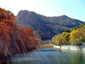 澳门二四六天天彩图库，鸡笼子